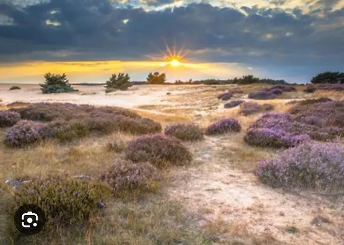 Woef Op De Veluwe Chalet *
