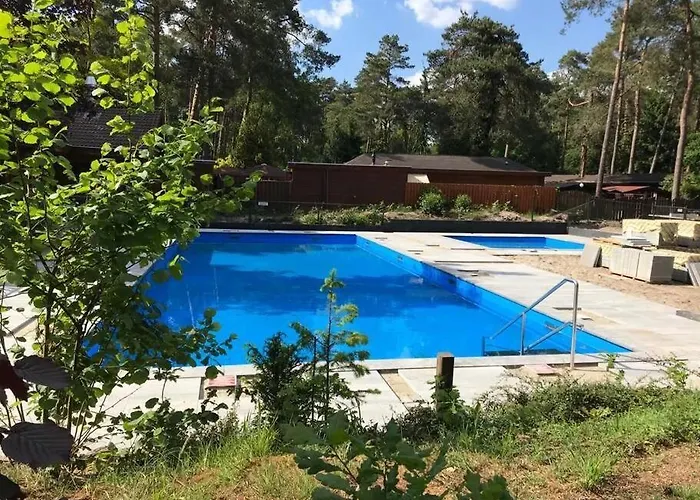 Woef Op De Veluwe Doornspijk