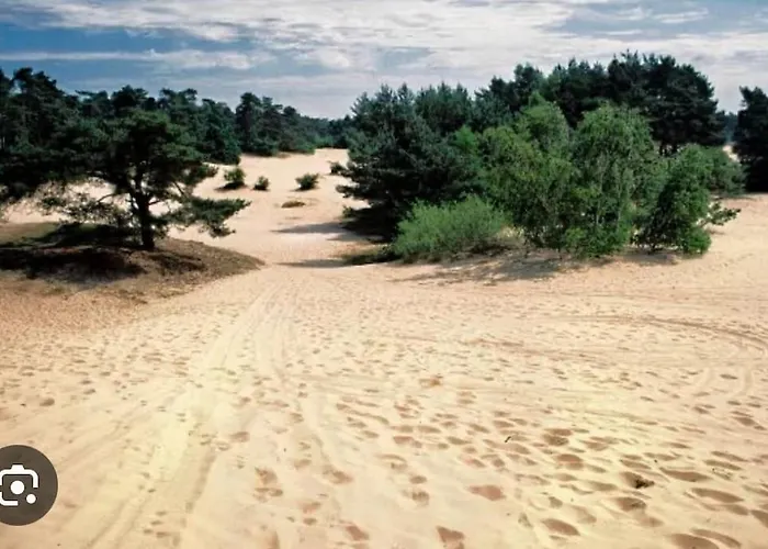 Chalet Woef Op De Veluwe