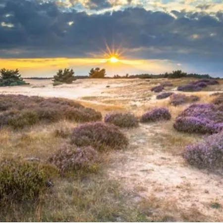 Woef Op De Veluwe Dağ evi *