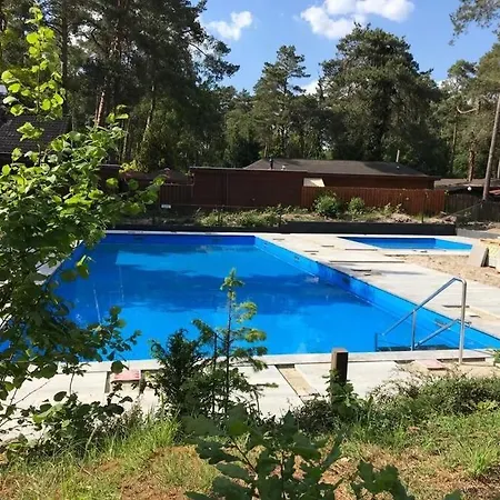 Woef Op De Veluwe Doornspijk